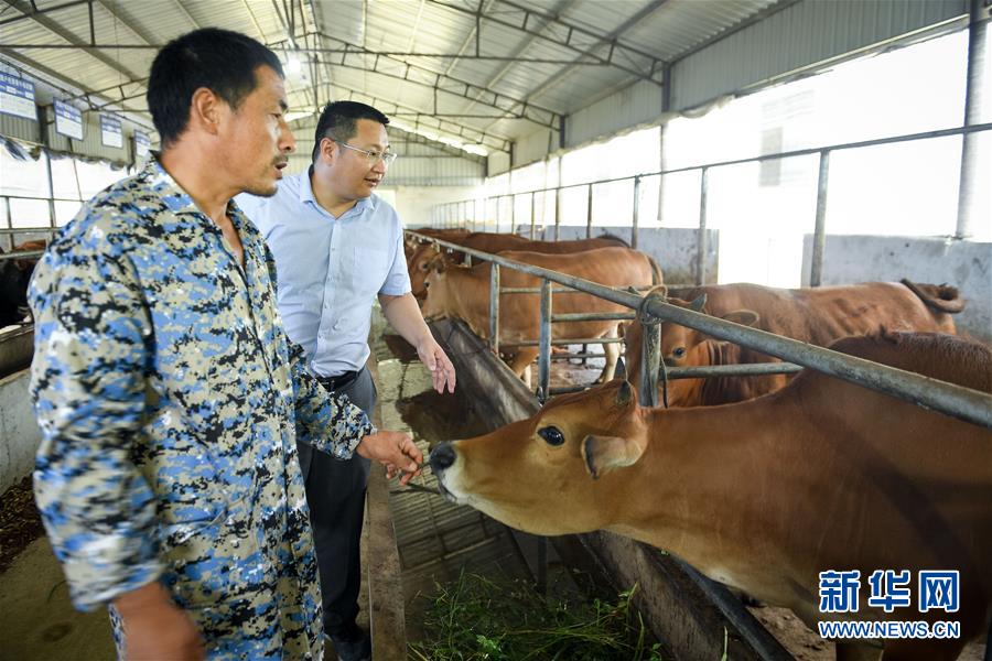 （脫貧攻堅(jiān)&middot;圖文互動(dòng)）（2）&ldquo;不畏難、不畏煩、不畏苦&rdquo;&mdash;&mdash;記&ldquo;80后&rdquo;扶貧干部李朝陽