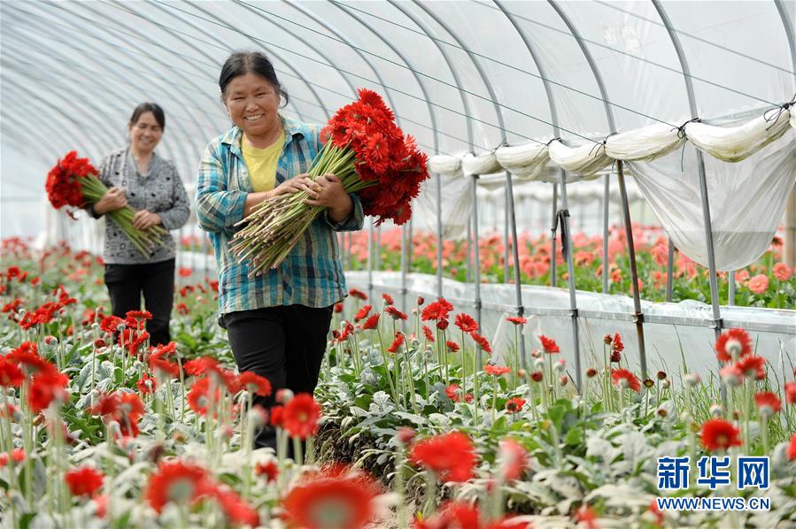 (大江奔流——來自長江經(jīng)濟(jì)帶的報(bào)道·新華全媒頭條·圖文互動(dòng))(3)擘畫新時(shí)代中國發(fā)展新坐標(biāo)——深入推動(dòng)長江經(jīng)濟(jì)帶發(fā)展述評(píng)