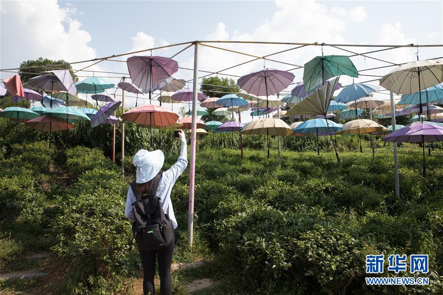 （大江奔流&mdash;&mdash;來自長江經(jīng)濟帶的報道&middot;圖文互動）（4）在這里，做一個幸福的農(nóng)民