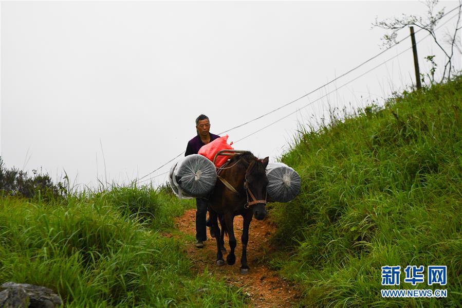 （新華全媒頭條&middot;圖文互動）（4）一個人，一座山&mdash;&mdash;劉真茂的生命守望