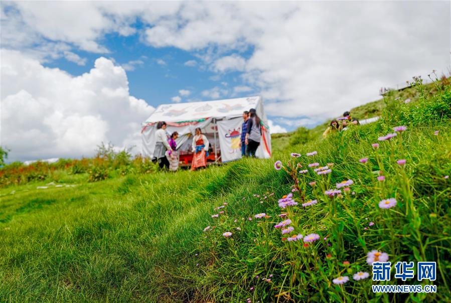（社會(huì)）（4）夏日&ldquo;過林卡&rdquo; 親近大自然