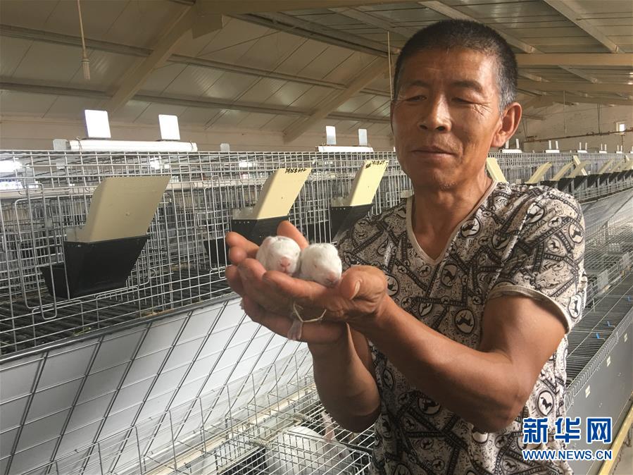 （新華全媒頭條&middot;在習(xí)近平新時(shí)代中國(guó)特色社會(huì)主義思想指引下&mdash;&mdash;新時(shí)代新作為新篇章&middot;圖文互動(dòng)）（10）綠富同興畫(huà)卷在沙海中鋪展&mdash;&mdash;庫(kù)布其沙漠生態(tài)治理紀(jì)實(shí)