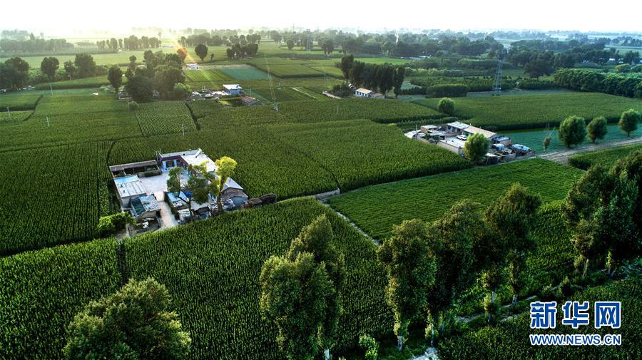 （壯闊東方潮 奮進(jìn)新時代&mdash;&mdash;慶祝改革開放40年）（13）感受&ldquo;毛烏素&rdquo;的生機