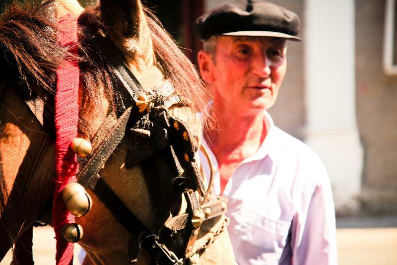 【新時(shí)代幸福美麗新邊疆】去伊犁喀贊其拜訪&ldquo;生活在宮殿里的老百姓&rdquo;