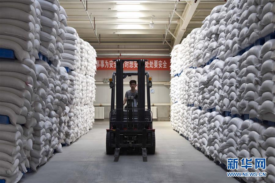 （新華全媒頭條&middot;圖文互動）（6）去新疆！穿越古今絲綢之路