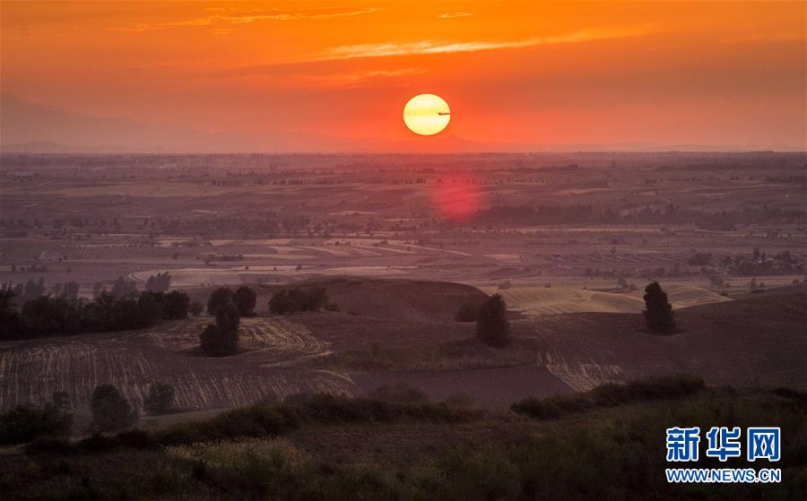 (圖文互動)(1)藝術(shù)家進(jìn)村 新疆古老村莊煥發(fā)新顏