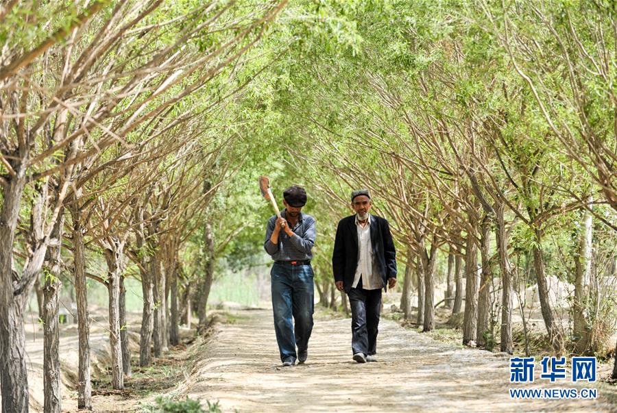 （新華全媒頭條&middot;誠(chéng)信建設(shè)萬(wàn)里行&middot;圖文互動(dòng)）（3）一諾動(dòng)昆侖&mdash;&mdash;父子半世紀(jì)接力為英雄守靈