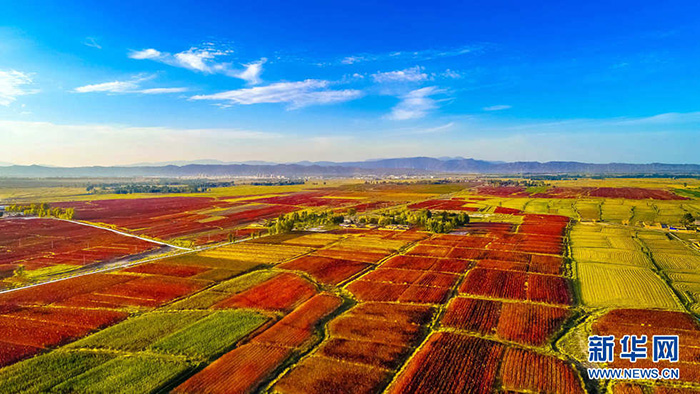 秋收的中國，你想象不到的美！但更美的是&hellip;&hellip;