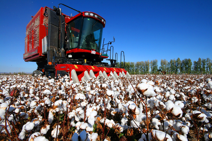 秋收的中國，你想象不到的美！但更美的是&hellip;&hellip;