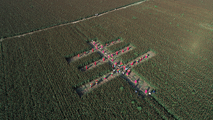 秋收的中國，你想象不到的美！但更美的是&hellip;&hellip;