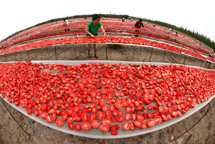 秋收的中國，你想象不到的美！但更美的是&hellip;&hellip;