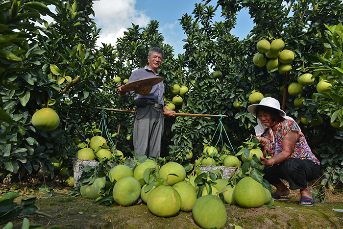 秋收的中國，你想象不到的美！但更美的是&hellip;&hellip;