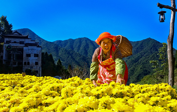 秋收的中國，你想象不到的美！但更美的是&hellip;&hellip;