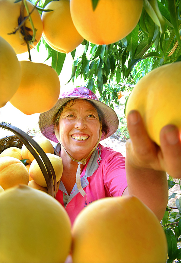 秋收的中國，你想象不到的美！但更美的是&hellip;&hellip;