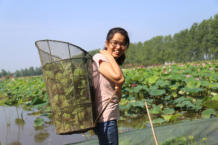 秋收的中國，你想象不到的美！但更美的是&hellip;&hellip;