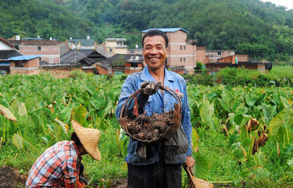 秋收的中國，你想象不到的美！但更美的是&hellip;&hellip;