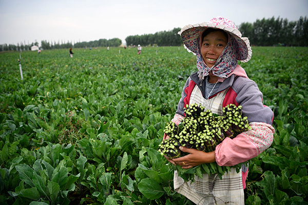 秋收的中國，你想象不到的美！但更美的是&hellip;&hellip;