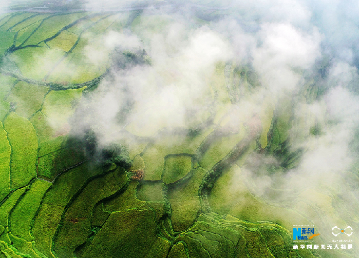 秋收的中國，你想象不到的美！但更美的是&hellip;&hellip;