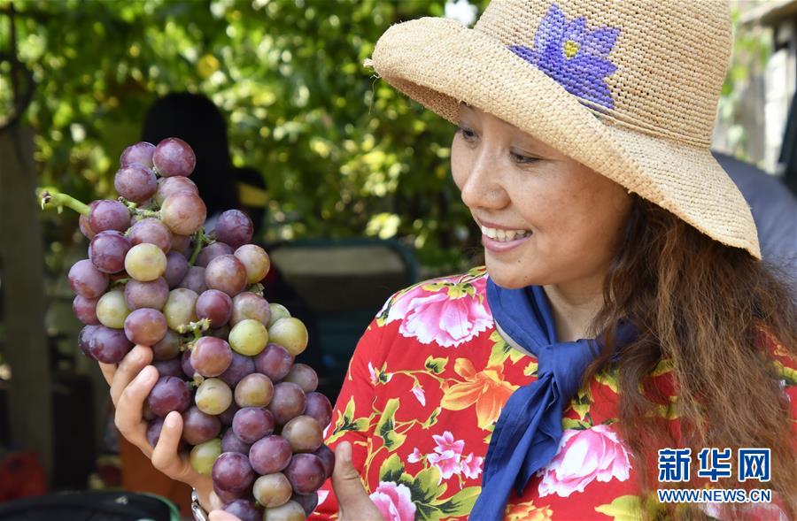 （新華全媒頭條&middot;圖文互動(dòng)）（8）最年輕的節(jié)日 最悠久的牽念&mdash;&mdash;寫(xiě)給首個(gè)中國(guó)農(nóng)民豐收節(jié)