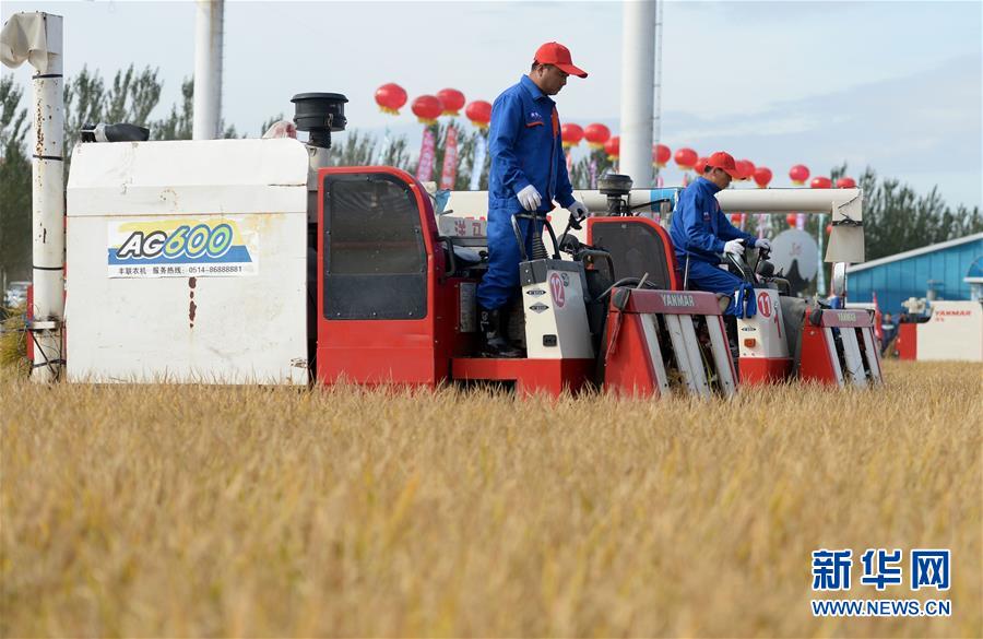 （新華全媒頭條&middot;圖文互動(dòng)）（9）最年輕的節(jié)日 最悠久的牽念&mdash;&mdash;寫給首個(gè)中國(guó)農(nóng)民豐收節(jié)