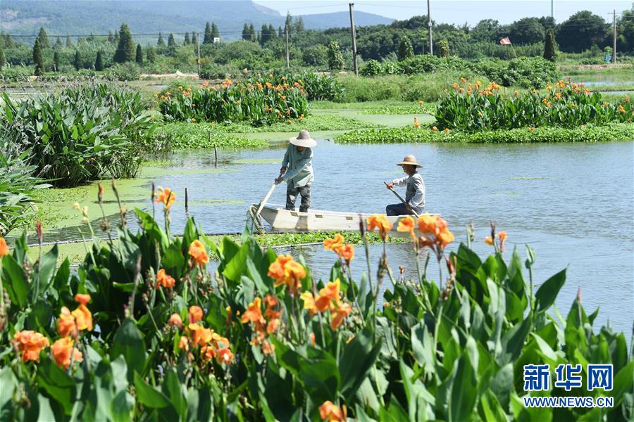 （新華全媒頭條&middot;聚焦鄉(xiāng)村振興戰(zhàn)略規(guī)劃&middot;圖文互動）（14）推進(jìn)鄉(xiāng)村振興的行動指南&mdash;&mdash;解讀鄉(xiāng)村振興戰(zhàn)略首個五年規(guī)劃亮點