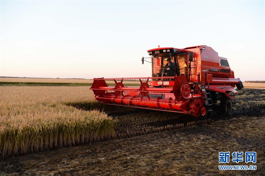 （新華全媒頭條&middot;圖文互動）（1）情系黑土地&mdash;&mdash;習(xí)近平總書記考察東北三省回訪記