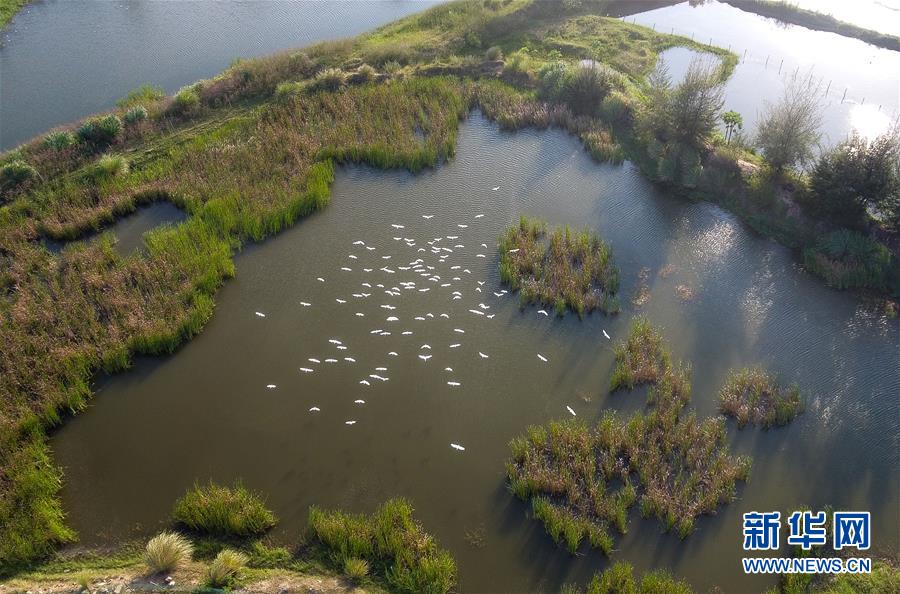 （圖文互動(dòng)&middot;百城百縣百企調(diào)研行）（5）&ldquo;濕地?？?rdquo;的生態(tài)文明建設(shè)實(shí)踐