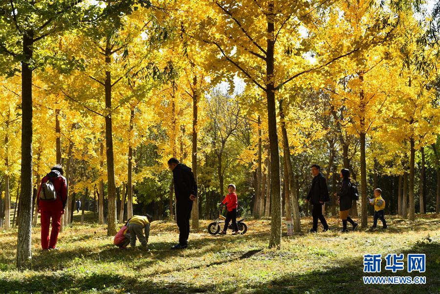 （百城百縣百企調(diào)研行&middot;圖文互動(dòng)）（2）生態(tài) 文明 宜居&mdash;&mdash;北京城市副中心未來之城正在崛起