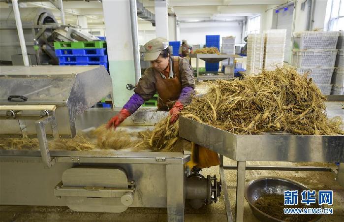 （百城百縣百企調(diào)研行&middot;圖文互動(dòng)）（5）吉林集安：邊陲&ldquo;綠色明珠&rdquo;為何如此閃亮？