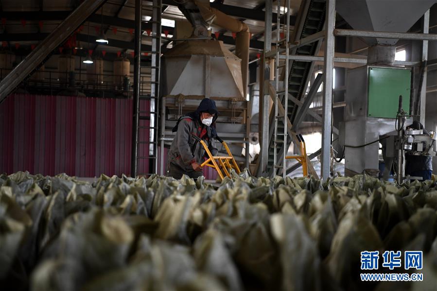 （在習(xí)近平新時代中國特色社會主義思想指引下&mdash;&mdash;新時代新氣象新作為&middot;鄉(xiāng)村振興戰(zhàn)略&middot;圖文互動）（1）&ldquo;與其放火，不如打包&rdquo;&mdash;&mdash;山西渾源秸稈綜合再利用見聞