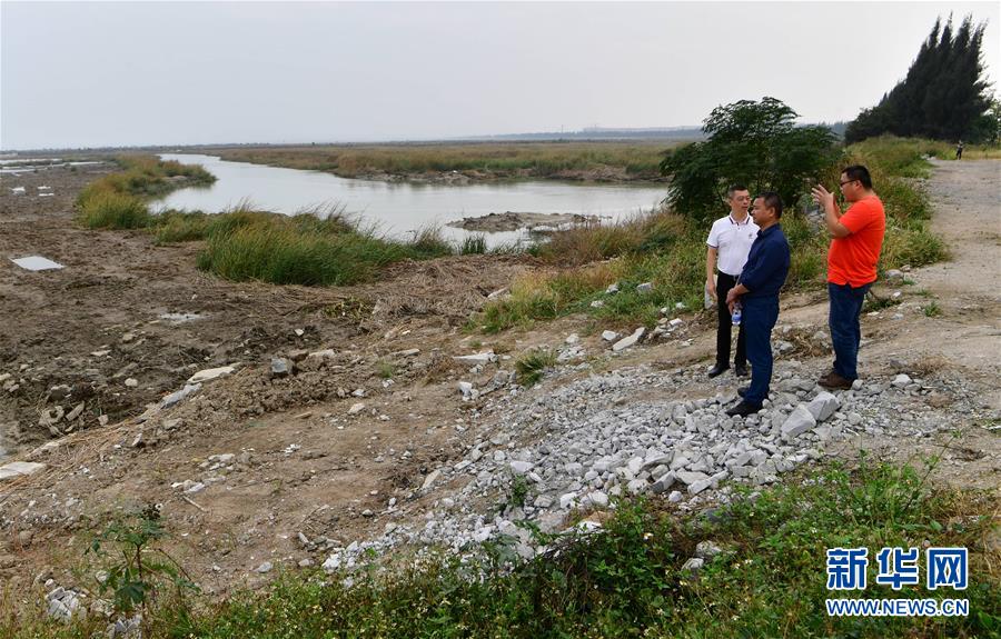 (新華視點(diǎn)·圖文互動(dòng))(6)福建10名黨員干部被問責(zé)的背后:7部門十余次執(zhí)法未能有效制止泉州灣濕地圍墾行為