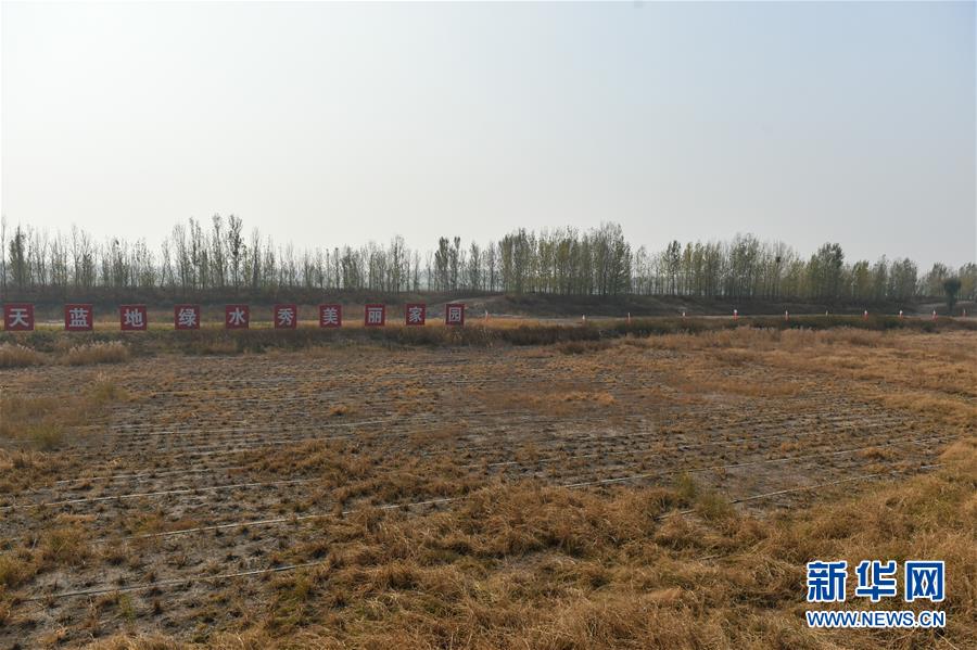 (在習(xí)近平新時(shí)代中國(guó)特色社會(huì)主義思想指引下·慶祝改革開放40周年·綠色發(fā)展)(新華全媒頭條·圖文互動(dòng))(6)綠色發(fā)展:書寫在中國(guó)大地上的美麗畫卷