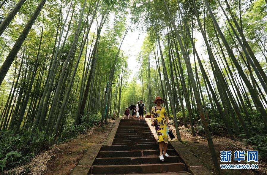 （在習(xí)近平新時(shí)代中國(guó)特色社會(huì)主義思想指引下&middot;慶祝改革開(kāi)放40周年&middot;綠色發(fā)展&middot;圖文互動(dòng)）（1）向陽(yáng)花木易為春&mdash;&mdash;綠色發(fā)展之&ldquo;木&rdquo;的故事