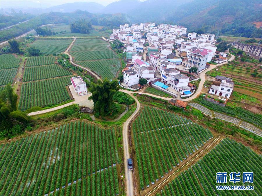 (輝煌60年·壯美新廣西·圖文互動)(10)從禿山到青山的蝶變——廣西石漠化治理10年再現(xiàn)發(fā)展生機