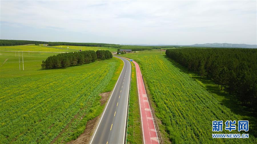 （新華全媒頭條&middot;圖文互動(dòng)）（4）那一抹綠色，走進(jìn)越來(lái)越多人心里&mdash;&mdash;河北塞罕壩續(xù)寫(xiě)新時(shí)代綠色傳奇