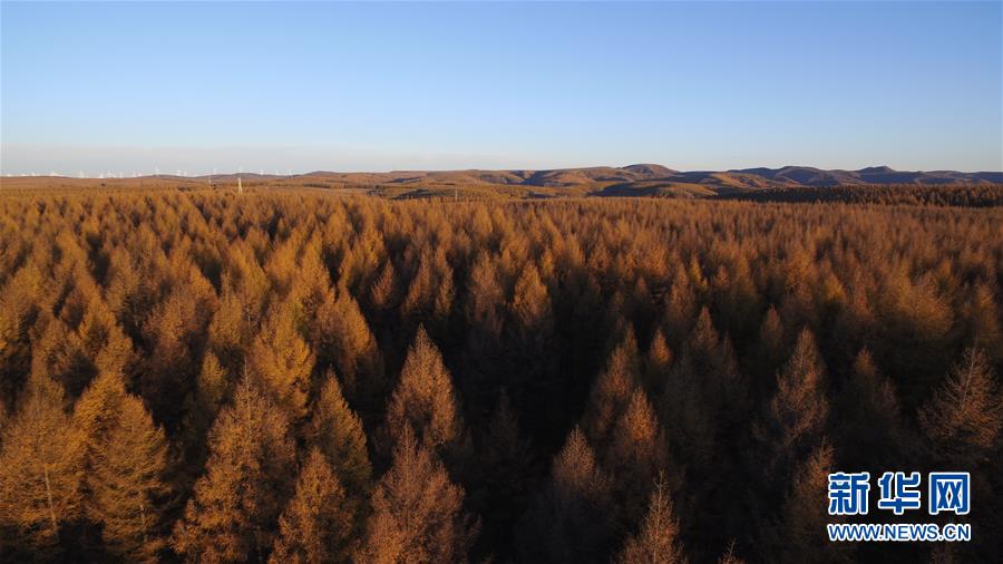 （新華全媒頭條&middot;圖文互動(dòng)）（6）那一抹綠色，走進(jìn)越來(lái)越多人心里&mdash;&mdash;河北塞罕壩續(xù)寫(xiě)新時(shí)代綠色傳奇