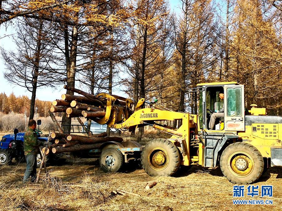 （新華全媒頭條&middot;圖文互動(dòng)）（7）那一抹綠色，走進(jìn)越來(lái)越多人心里&mdash;&mdash;河北塞罕壩續(xù)寫(xiě)新時(shí)代綠色傳奇