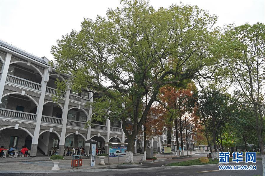 （慶祝改革開(kāi)放40周年基層行&middot;學(xué)校篇&middot;圖文互動(dòng)）（9）白鷺洲中學(xué)40年:書(shū)院教育的時(shí)代探索