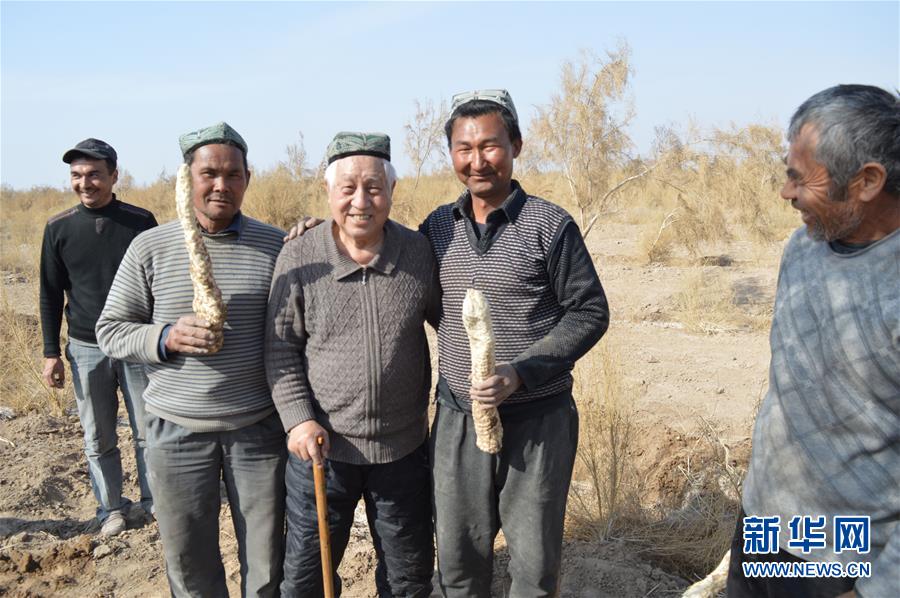 （圖文互動(dòng)）（3）&ldquo;劉紅柳&rdquo;，一輩子大漠扎根種樹