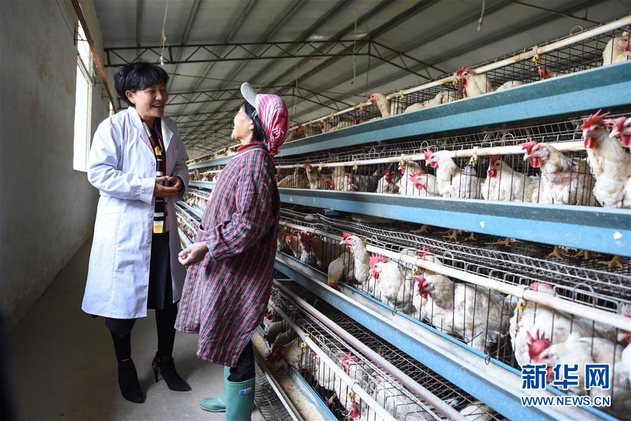 （改革先鋒風(fēng)采&middot;圖文互動）（2）余留芬：讓人人有事干戶戶都小康