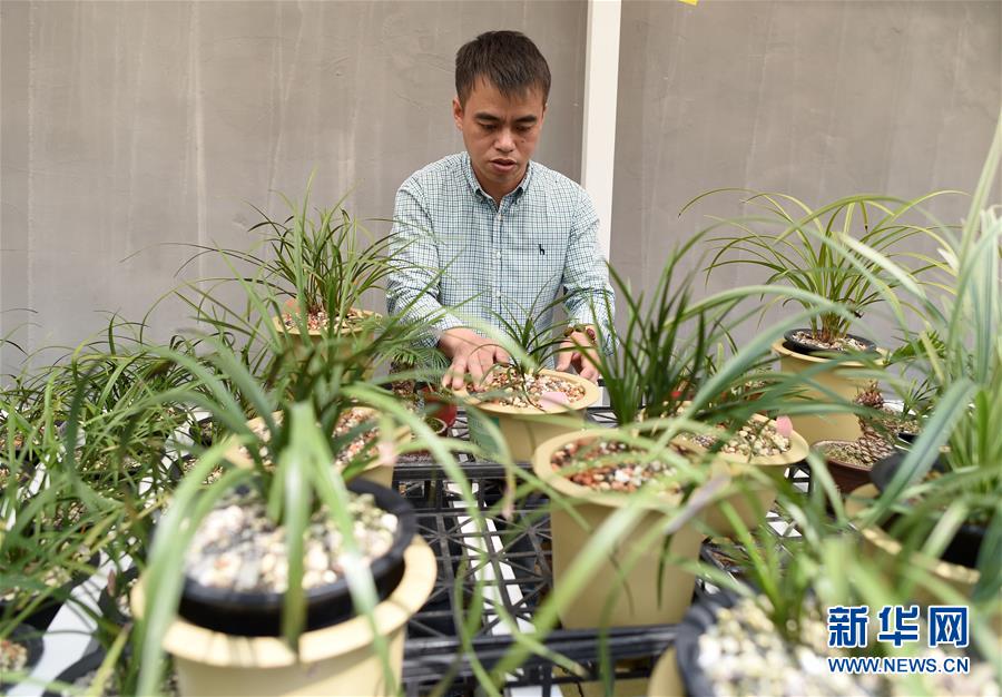 （圖文互動）（6）建設(shè)好生態(tài)宜居的美麗鄉(xiāng)村&mdash;&mdash;從&ldquo;千萬工程&rdquo;看習(xí)近平生態(tài)文明思想的生動實踐和世界回響