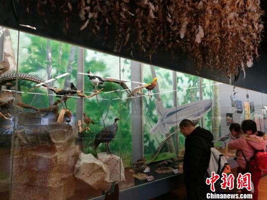 圖為展覽現(xiàn)場?！『h(yuǎn)航 攝