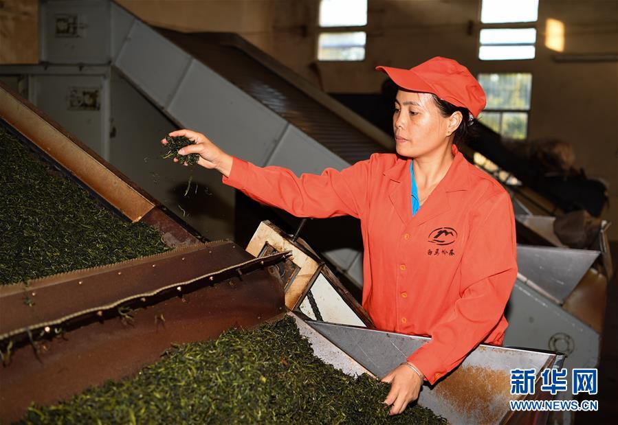 （兩會&middot;基層代表履職故事）（7）全國人大代表符小琴：讓家鄉(xiāng)在改革開放中發(fā)展得更好