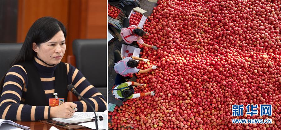 (兩會(huì)·影像鏈接)全國(guó)人大代表曾云英:新型農(nóng)業(yè)將迎來(lái)高質(zhì)量發(fā)展的機(jī)遇