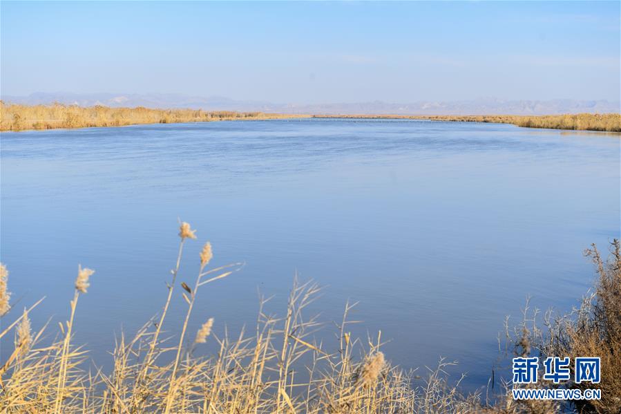 （在習近平新時代中國特色社會主義思想指引下&mdash;&mdash;新時代新作為新篇章&middot;圖文互動）（1）打響綠色品牌 &ldquo;四控&rdquo;治污增效&mdash;&mdash;內蒙古巴彥淖爾探索農(nóng)業(yè)高質量發(fā)展