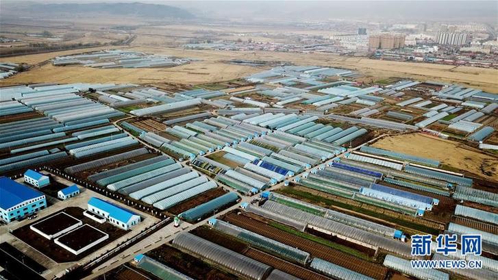 （在習近平新時代中國特色社會主義思想指引下&mdash;&mdash;新時代新作為新篇章&middot;鄉(xiāng)村振興戰(zhàn)略&middot;圖文互動）（5）&ldquo;十五連豐&rdquo;譜新篇&mdash;&mdash;端牢&ldquo;中國飯碗&rdquo;的龍江實踐