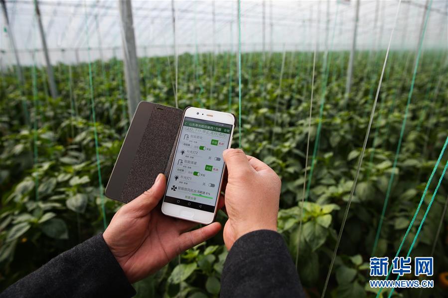 （新華全媒頭條&middot;圖文互動）（8）聚焦高質(zhì)量，躍上新臺階&mdash;&mdash;新年開局看中國經(jīng)濟信心和潛力