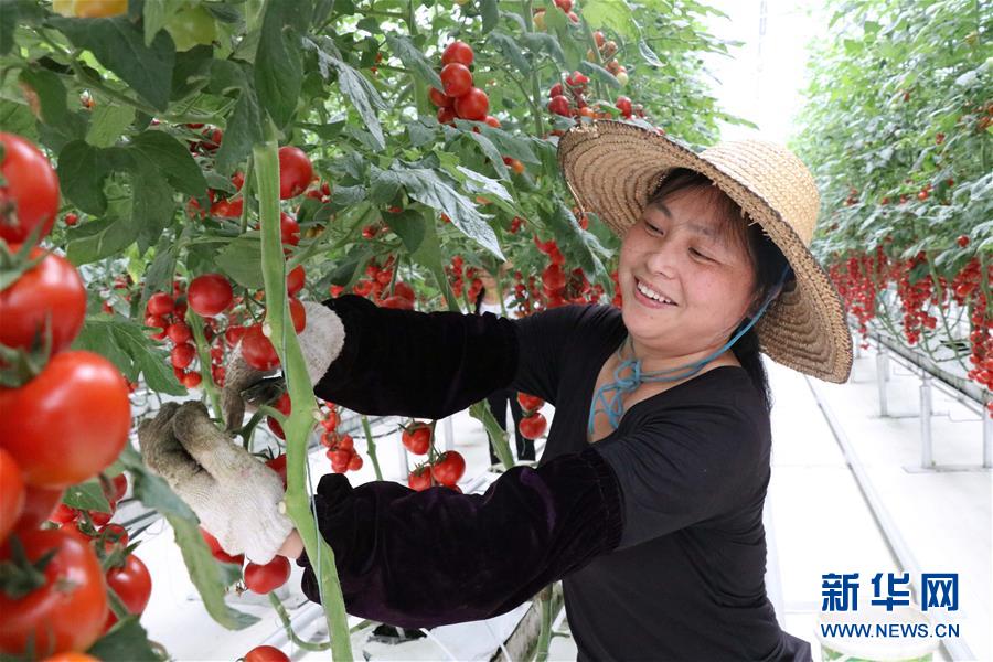 (兩會前夕看落實(shí)·圖文互動)(8)奮力脫貧攻堅(jiān) 生態(tài)追“清”逐“綠”——江西落實(shí)習(xí)近平總書記全國兩會重要講話精神紀(jì)實(shí)