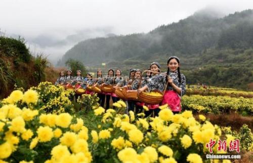 &ldquo;最中國(guó)美鄉(xiāng)村&rdquo;江西省婺源縣。胡敦煌 攝