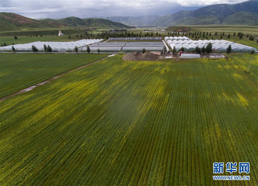 (兩會前夕看落實·圖文互動)(6)“飛針走線”“繡”出小康畫卷——四川落實習(xí)近平總書記全國兩會重要講話精神紀實